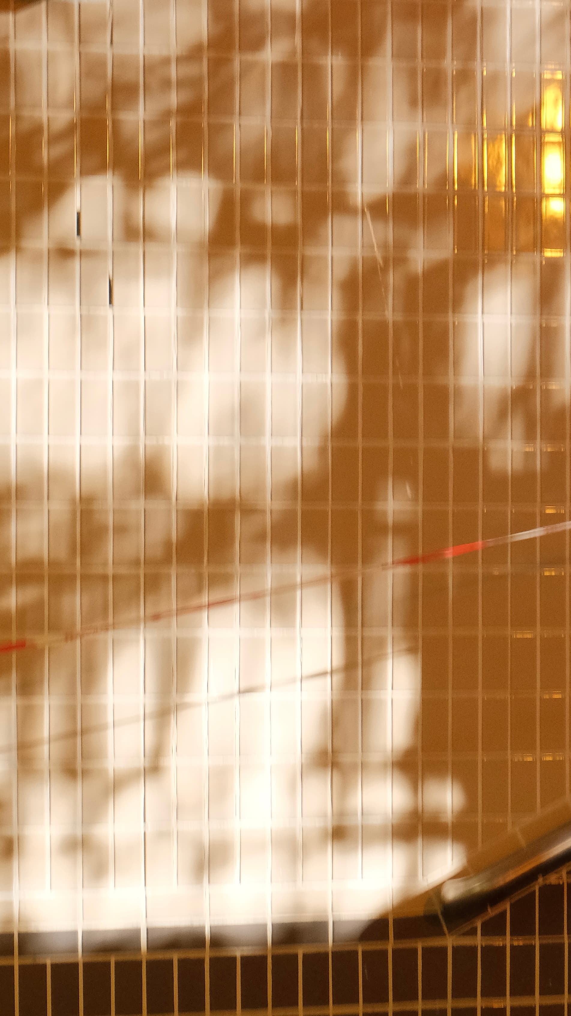 A figure’s sunset shadow cast on a translucent tiled wall in Hong Kong