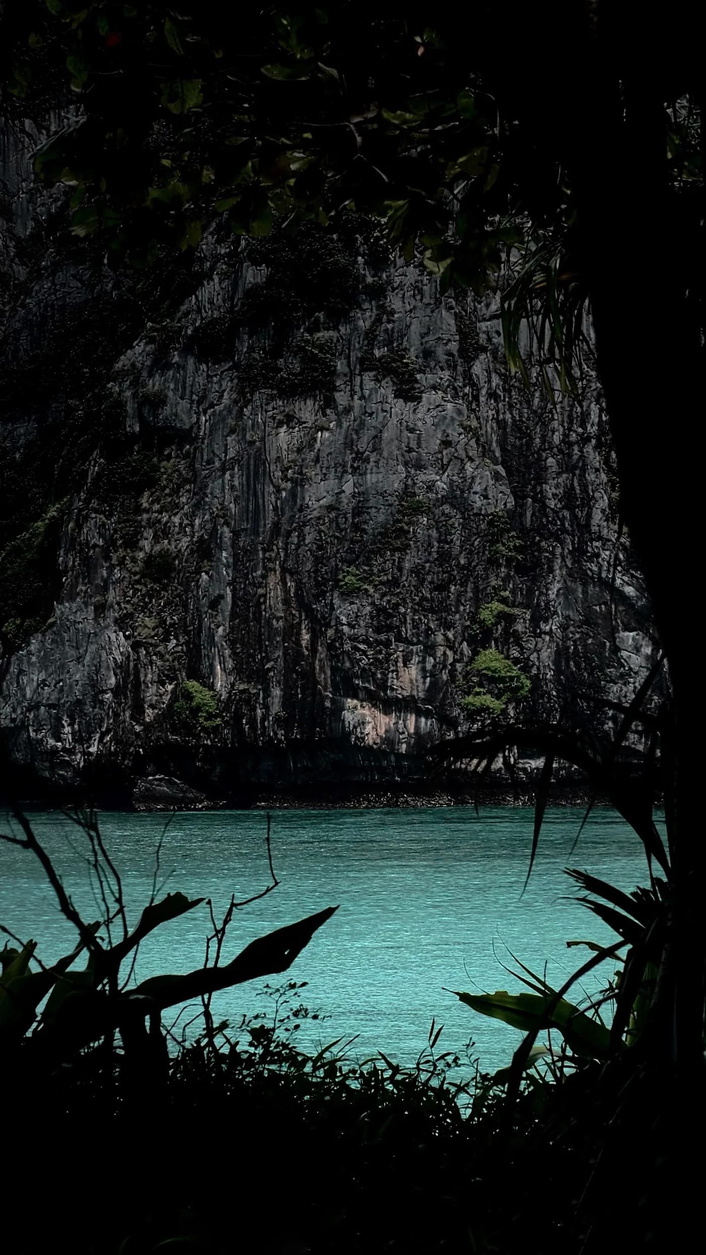 Dark limestone cliffs, silhouetted plants and turquoise water